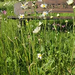 Holiday home Hube Leutschach
