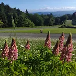 Hube Holiday home Leutschach