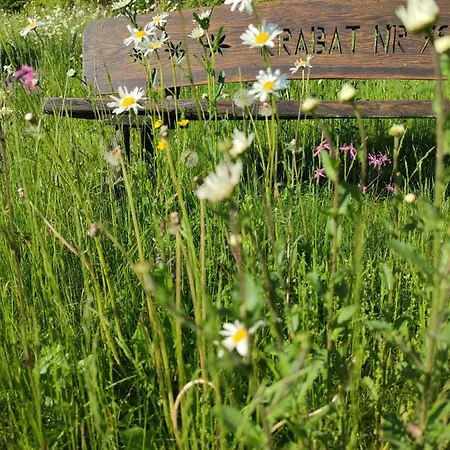 Сasa de vacaciones Hube Leutschach