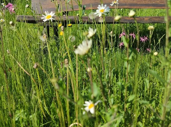 Ferienhaus Hube Leutschach