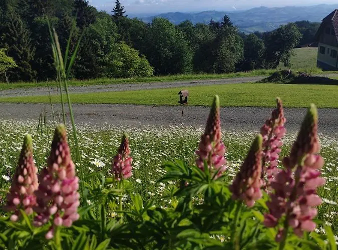 Hube 度假居 里欧查赫